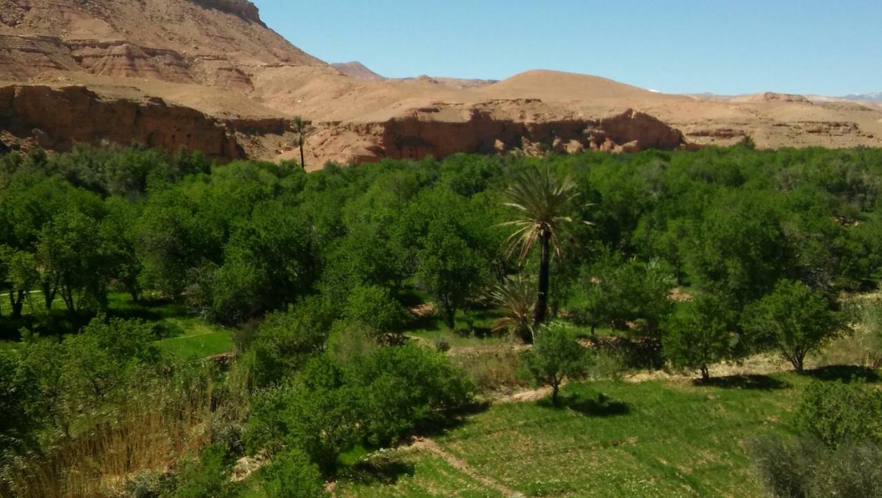Riad Tigmi Du Soleil Ait Benhaddou Buitenkant foto